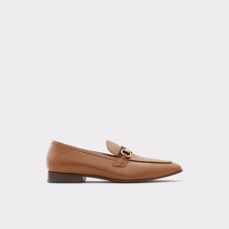 Loafers Aldo Heliothis ανδρικα καφε | 4596721-NG