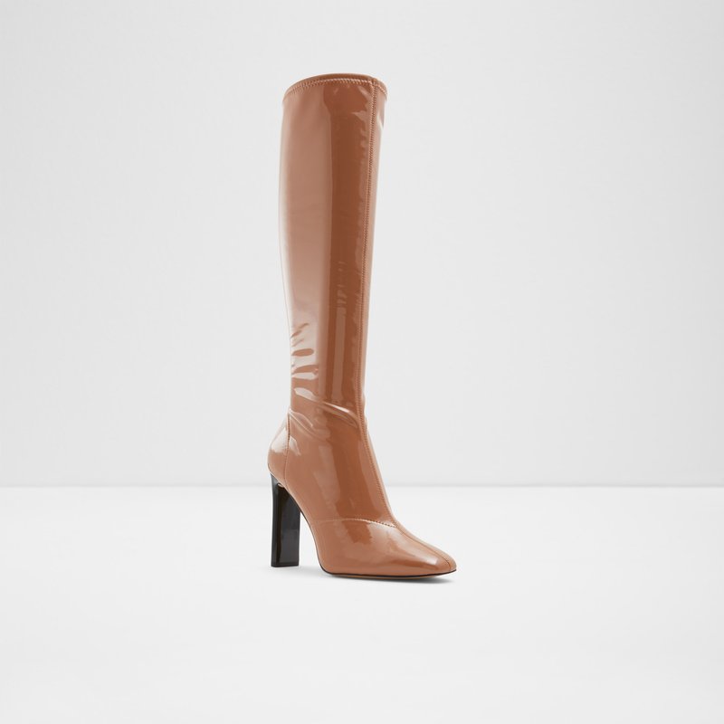 Knee High Boots Aldo Edigorwen γυναικεια σκούρο Μπεζ | 3674859-SA