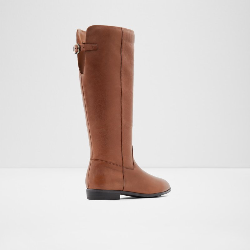 Knee High Boots Aldo Keesha γυναικεια καφε | 1390582-VS