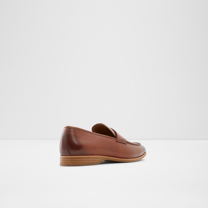 Loafers Aldo Byron ανδρικα καφε | 9415067-RU