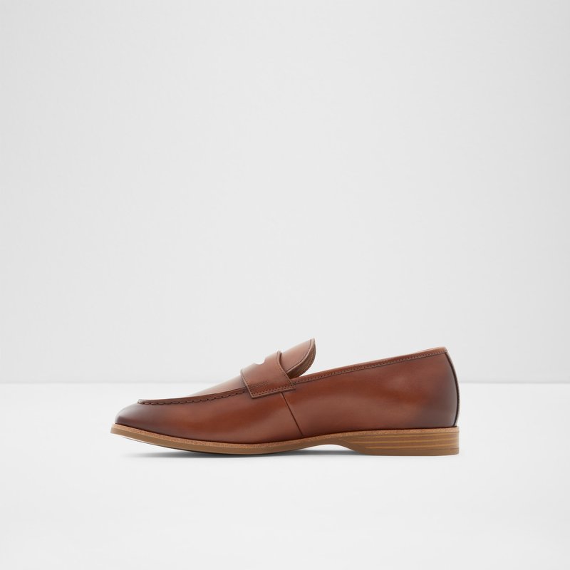 Loafers Aldo Byron ανδρικα καφε | 9415067-RU