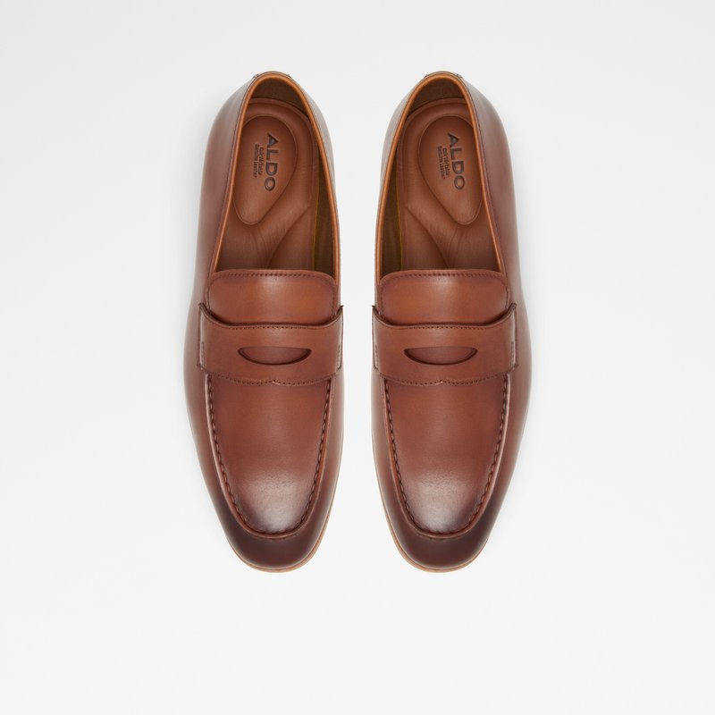 Loafers Aldo Byron ανδρικα καφε | 9415067-RU