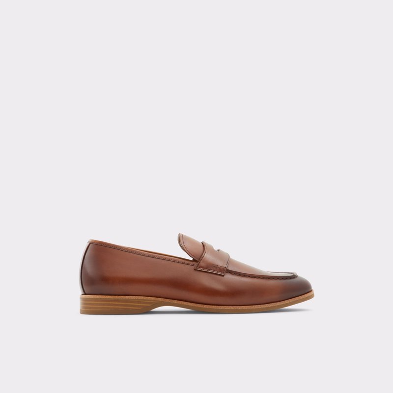 Loafers Aldo Byron ανδρικα καφε | 9415067-RU