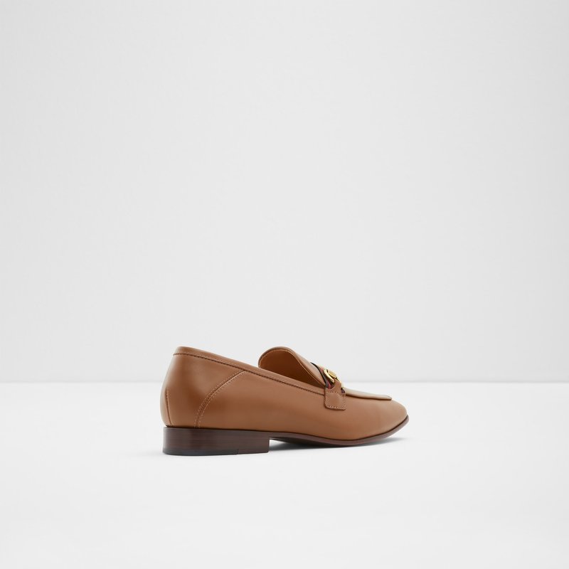 Loafers Aldo Heliothis ανδρικα καφε | 4596721-NG