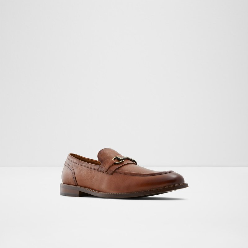 Loafers Aldo Schergerflex ανδρικα καφε | 1096548-EJ