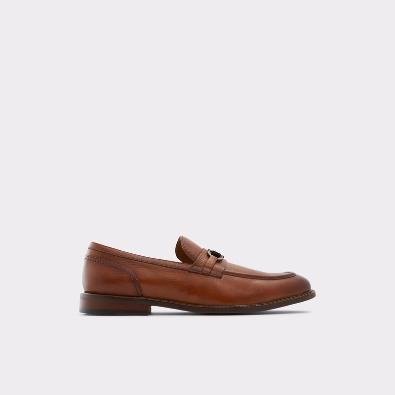 Loafers Aldo Schergerflex ανδρικα καφε | 1096548-EJ