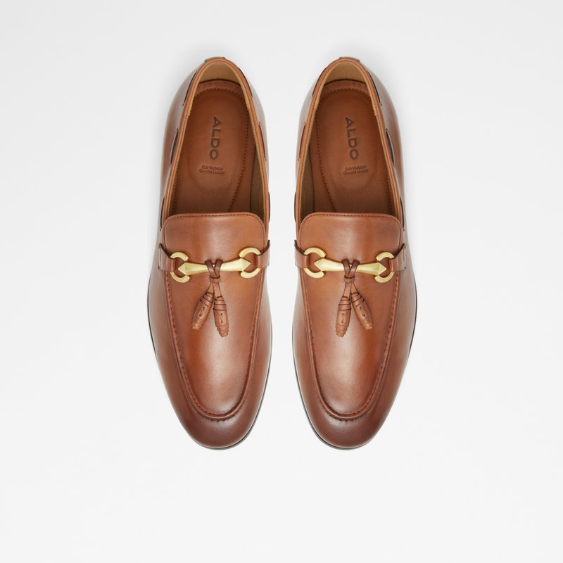 Loafers Aldo Stokhid ανδρικα καφε | 8652709-XD